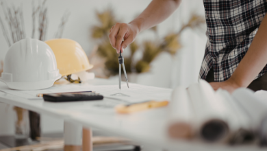 Renato de Castro Longo Furtado Vianna